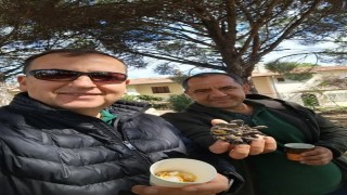 Türkiye çam balı üretiminde dünya birincisi