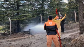 Türkiye ormancılık yarışmaları Elazığda düzenlendi