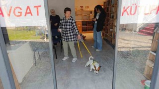 Ukraynalı kadın hayatının şokunu yaşadı, kurt köpeğiyle dalaşan kucağındaki köpeği parmağını parçaladı