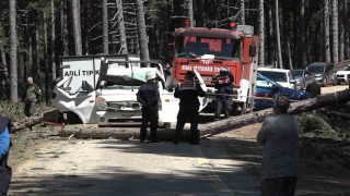 Uludağda inanılmaz olay...Kesilen ağaç seyir halindeki kamyonetin üzerine devrildi: 1 ölü