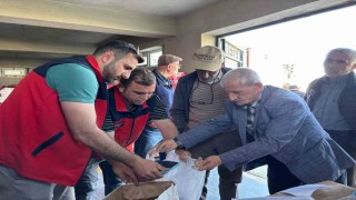 Üreticilere hibe destekli ayçiçeği tohumu dağıtıldı