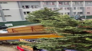 Üsküdar Belediyesinin ruhsat verdiği inşaat alanında ağaçlar kesildi