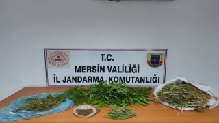 Uyuşturucu taciri yakalanıp tutuklandı