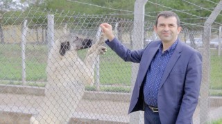 Uzmanı tanımladı, Veteriner hekimler gıda zincirinin temel taşı konumundadır