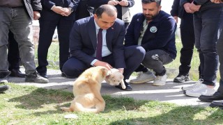 Vali Taşolar, Iğdır Geçici Hayvan Bakımevini ziyaret etti