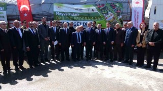 Vanda 5 yılda 4 buçuk milyon fidan toprakla buluşturuldu