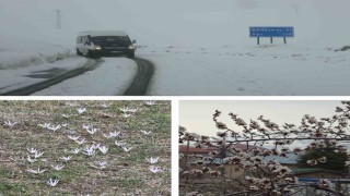 Vanda iki mevsim bir arada: Bir yanda bahar, diğer yanda kış