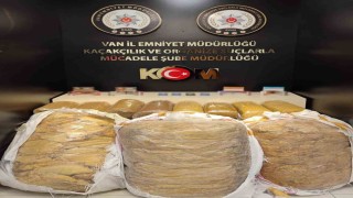 Vanda kaçakçılık operasyonu
