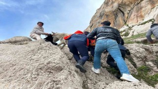 Vanda kayalıklarda mahsur kalan eşek kurtarıldı