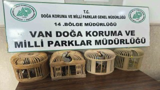 Vanda keklik avlayan şahsa 86 bin 278 lira para cezası