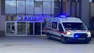Vanda köpeklerin saldırdığı 5 yaşındaki çocuk hayatını kaybetti