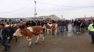 Yağışlı havaya aldırış etmeyen üreticiler ve alıcılar bu pazarda buluşuyor