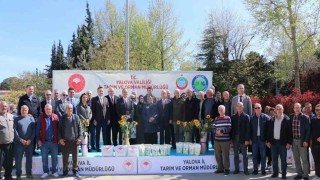 Yalovada çiftçiye ayçiçeği ve fasulye tohumu desteği