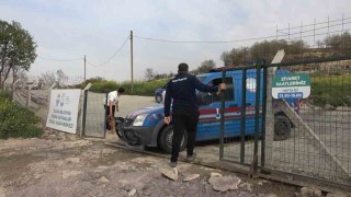 Yalovadaki barınakta köpek ölümleriyle ilgili soruşturma