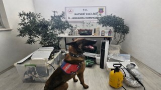 Yasadışı kenevir eken şahıs yakalandı