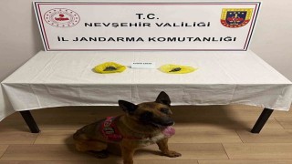 Yol kontrolünde uyuşturucu yakalandı