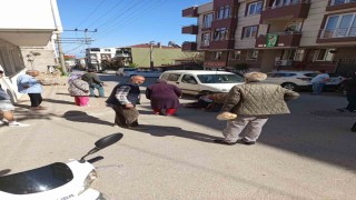 Yolun karşısına geçerken ticari aracın çarptığı yaşlı kadın hayatını kaybetti