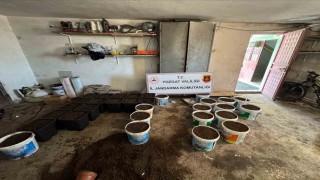 Yozgatta uyuşturucu yetiştirme düzeneği ve uyuşturucu madde ele geçirildi