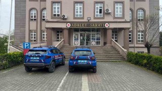 Zonguldakta süs bitkisi bahçesinde uyuşturucu özellikli kaktüs ele geçirildi