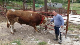 1 tonluk ‘Paşaköy Efesi 420 bin TLden alıcısını bekliyor