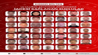 27si kırmızı bültenle aranan 48 suçlu Türkiyeye getirildi