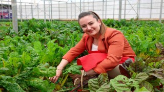 5. Uluslararası Antalya FoodFest Gastronomi Festivali Akdeniz yeşillikleri hasadıyla başladı