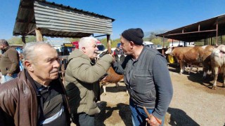 704 kiloluk dana için dakikalarca pazarlık yaptılar