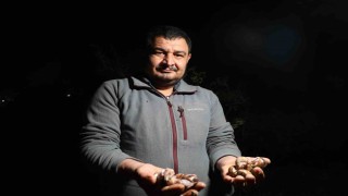 Adanada salyangoz mesaisi: Kilogramı 35 lira