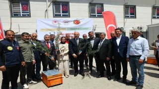 Adıyamanda çiftçilere zeytin fidanı ve arılı kovan desteği