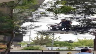 Ağaçta mahsur kalan kediyi itfaiye kurtardı