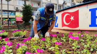 Akdenizde parklar bahara hazır: 50 bin çiçek toprakla buluşacak
