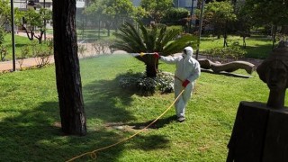 Alanya’da Çam Kabuk Böceğine Karşı Kapsamlı Mücadele Başlatıldı