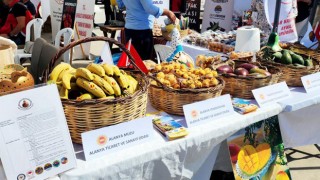 Alanya’nın Coğrafi İşaretli Ürünleri Tanıtıldı