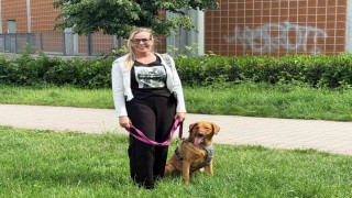 Almanyada köpek sahiplerine sigorta şartı
