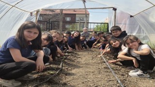 Altıntaşta minik öğrenciler salatalık fidelerinin ekimini gerçekleştirdi