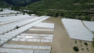 Amasyada Yeşilırmak Nehri taştı, tarım arazileri sular altında kaldı