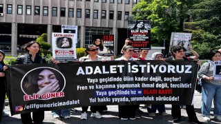Ankarada yaya geçidinde otomobilin çarpması ile hayatını kaybeden Elifin davasına devam edildi
