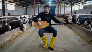 Ankaralı besici kurbanlık hayvanlarına saz çalıp, türkü söylüyor