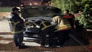 Antakyada otomobilin motoruna giren kediyi itfaiye kurtardı