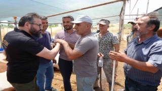 Antalyada kurban pazarında son kozlar oynandı: Zor belayla aldık, çok pazarlığını yaptık