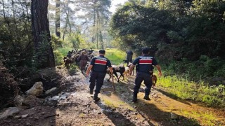 Antalyada sürüden ayrılıp kaybolan 41 keçi jandarma tarafından bulundu