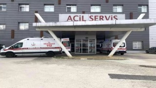 Arı saldırısına uğrayan yaşlı çift hastanelik oldu
