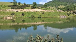Arkadaşlarıyla girdiği gölette can verdi