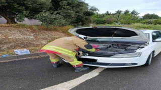 Arsuzda otomobilin motoruna giren kediler kurtarıldı