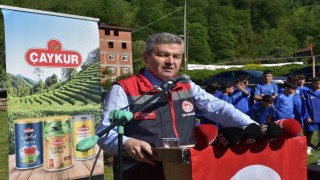 Artvinde çay sezonu açıldı