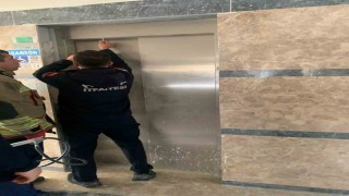 Asansör boşluğuna düşen yavru kediyi itfaiye kurtardı