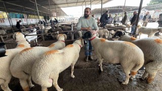 Asırlık gelenek fiyatıyla da dikkat çekiyor