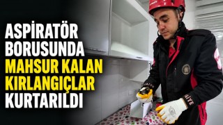 Aspiratör Borusunda Mahsur Kalan Kırlangıçlar Kurtarıldı