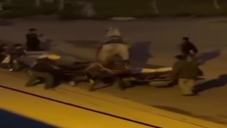 Atlara işkence kamerada