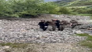 Ayağını burkan şahsı jandarma sırtında taşıdı